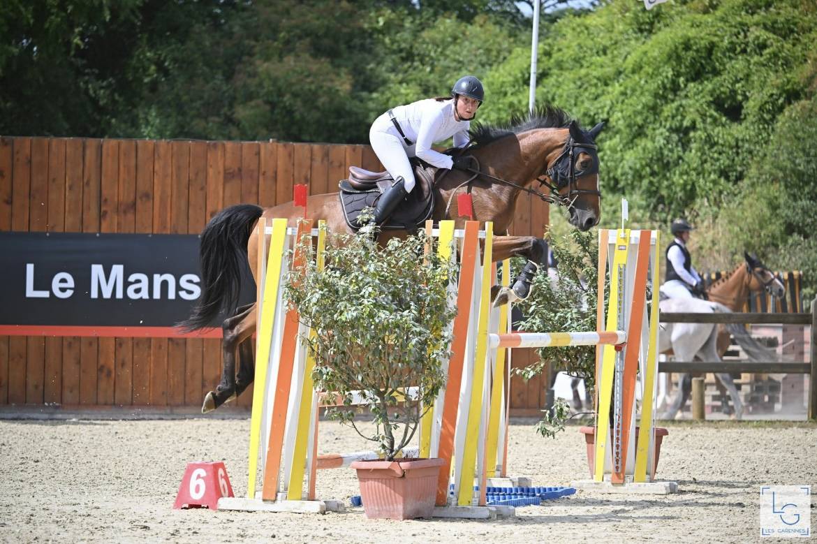 Jument 8 ans SF cso 