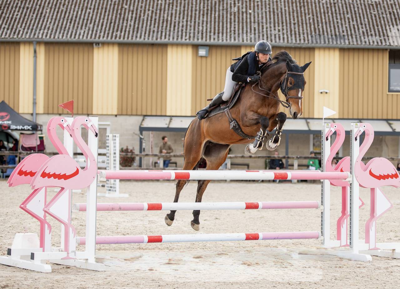 Jument 8 ans SF cso 