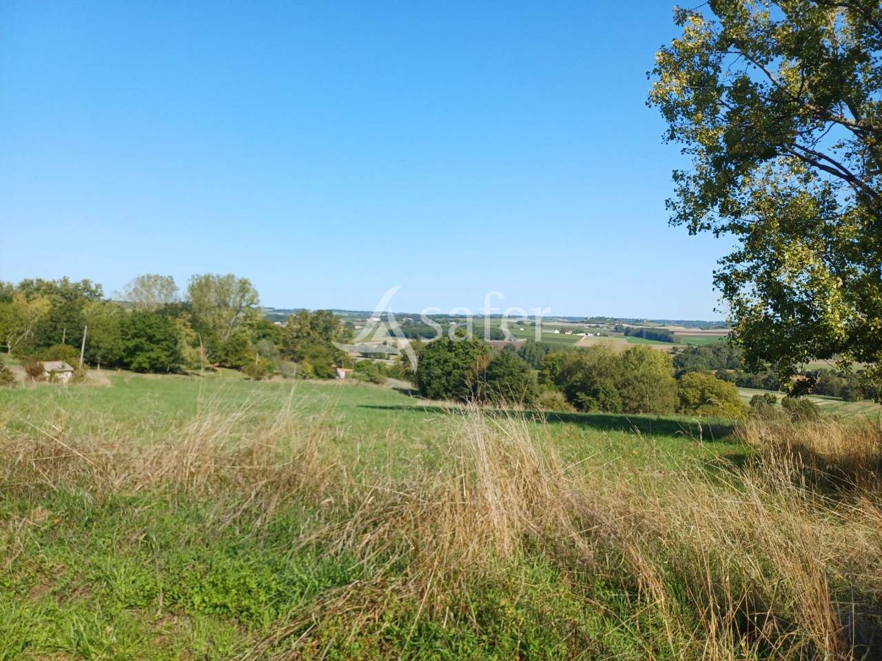 1010726_1791340279_6027.jpg