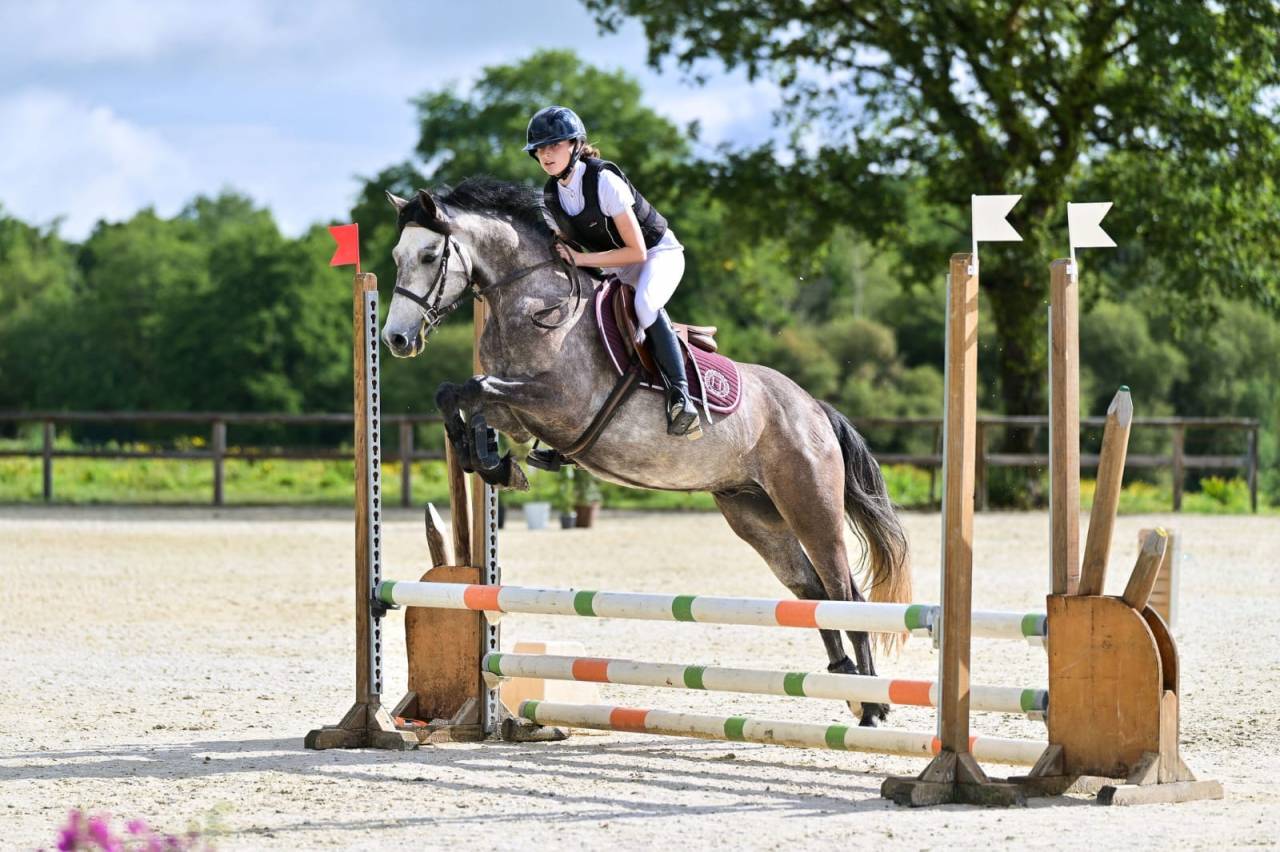 Poney &agrave; vendre 
