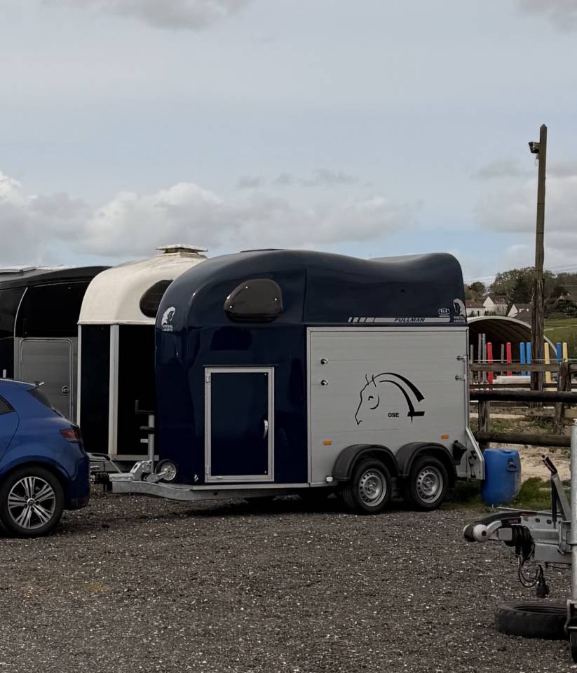 Location de van 1 place et demi - Transport de chevaux 