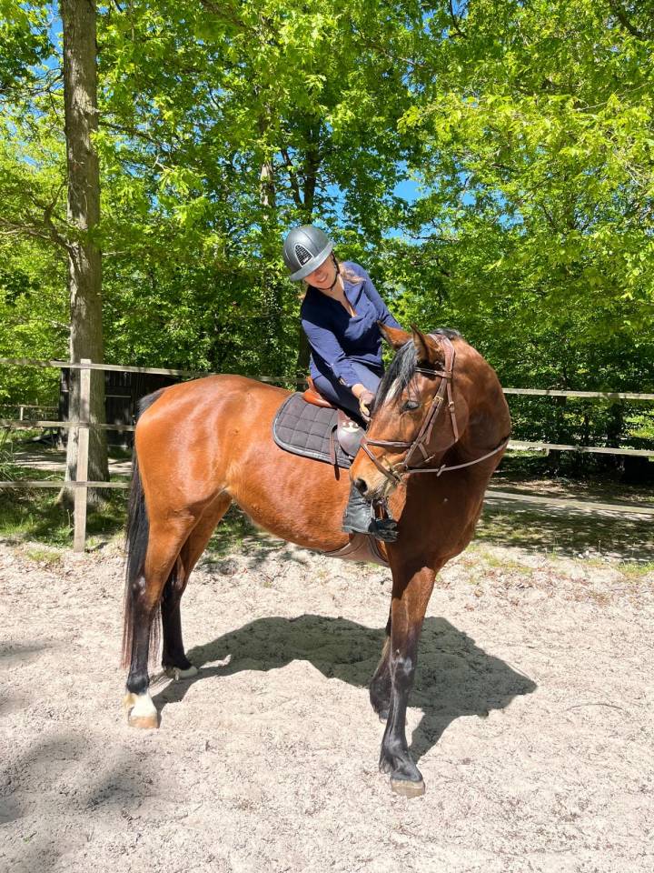 Jument de sport de 5ans 