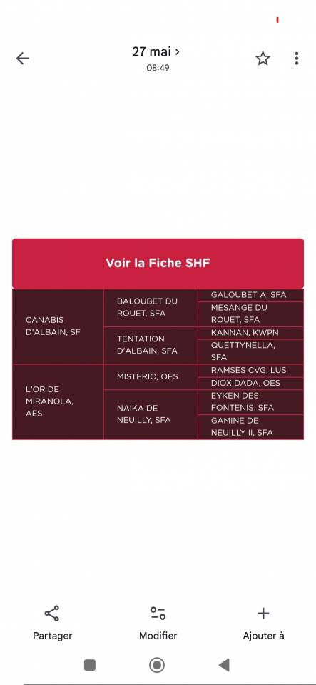 Pouliche selle fran&ccedil;ais 