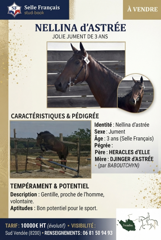 JUMENT DE 3 ANS 