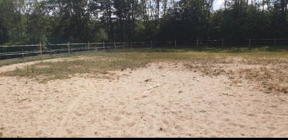 LOUE Magnifique Propri&eacute;t&eacute; 20 ha &agrave; 15 min de LIMOGES