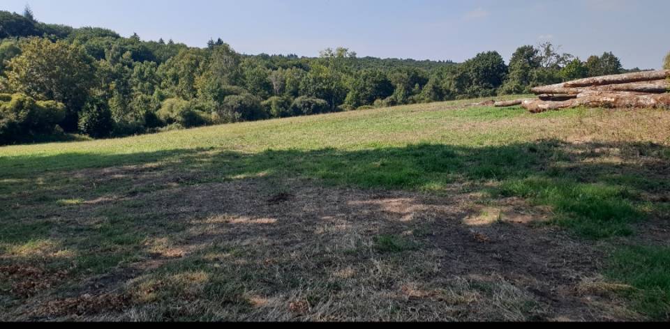 LOUE Magnifique Propri&eacute;t&eacute; 20 ha &agrave; 15 min de LIMOGES