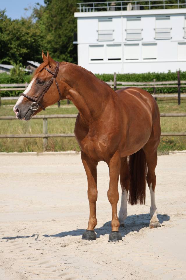 HORS SERIE DU MOULIN