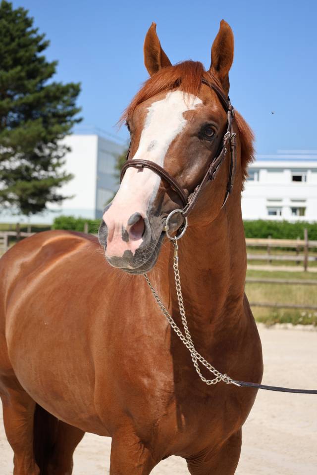 HORS SERIE DU MOULIN