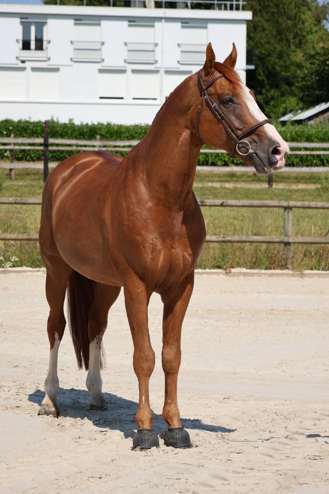 HORS SERIE DU MOULIN