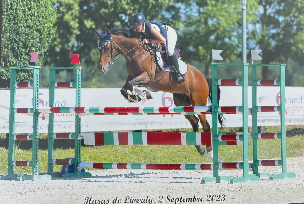 Jument CSO 