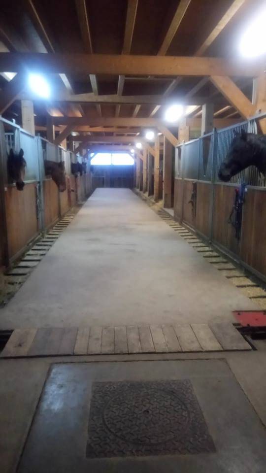Pension chevaux