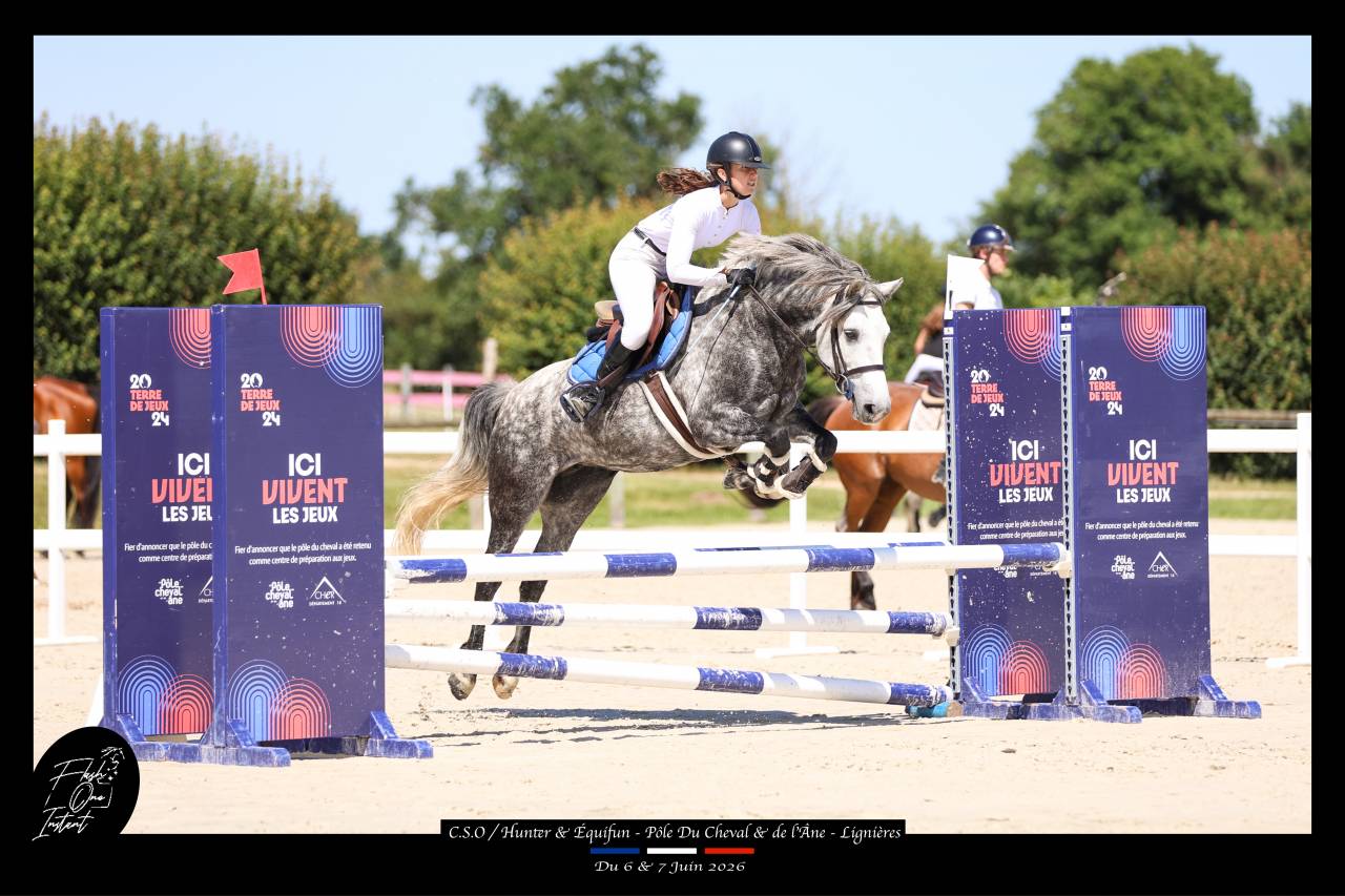 Ponette D connemara 7 ans - Id&eacute;al CCE / CSO / Hunter
