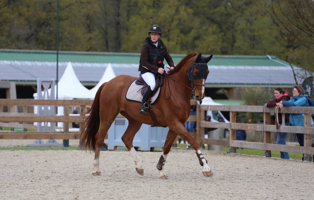 Cheval de 5ans