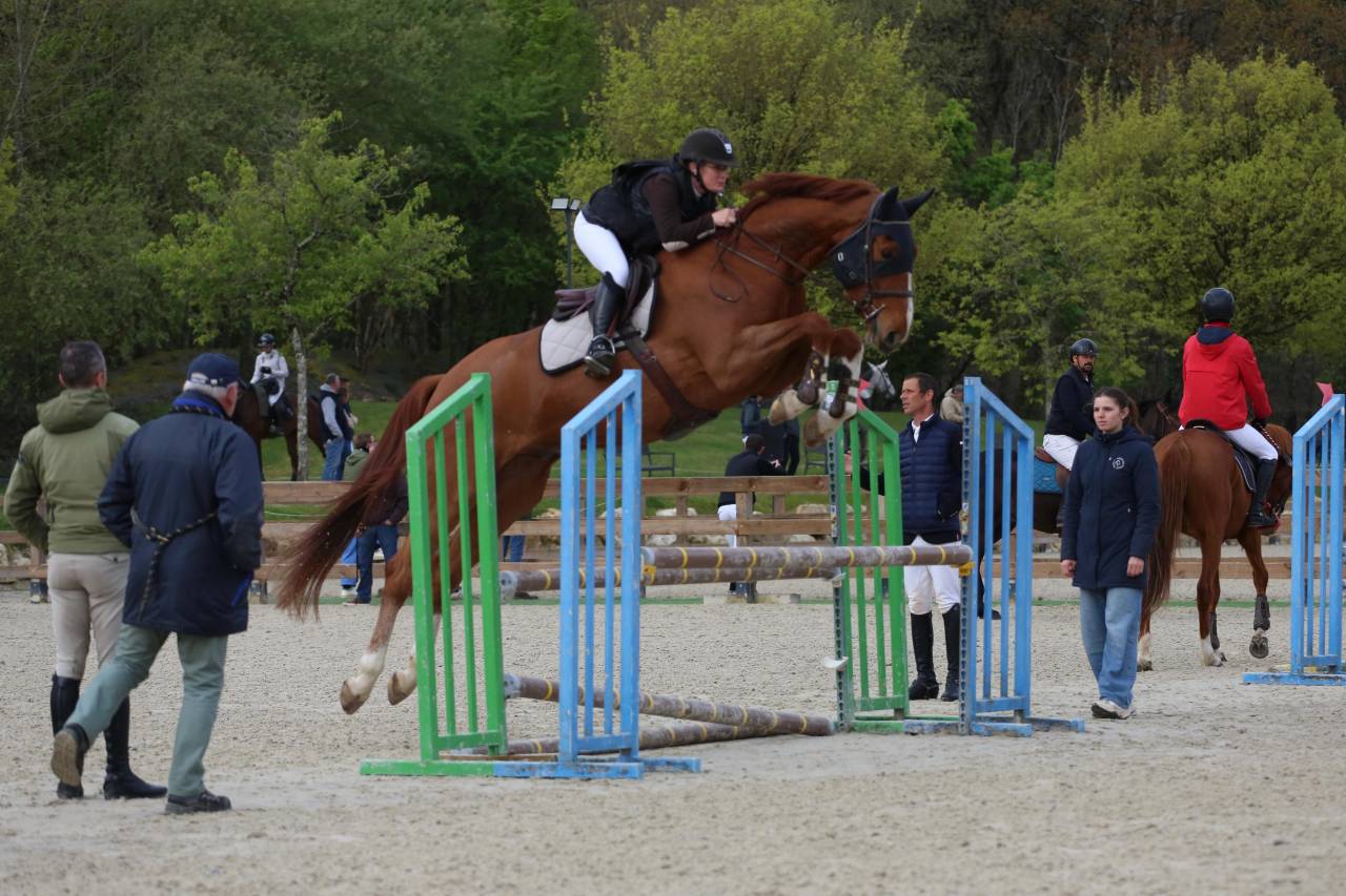 Cheval de 5ans