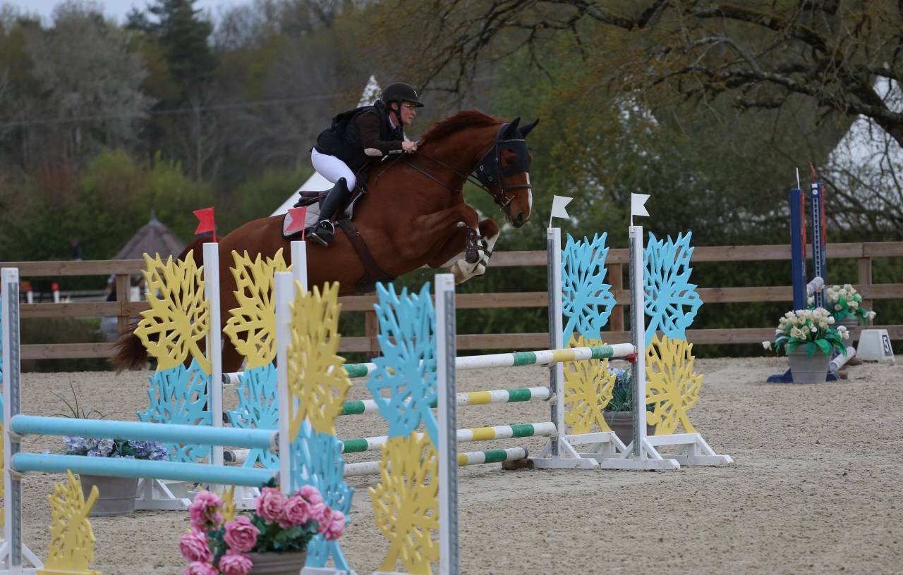 Cheval de 5ans