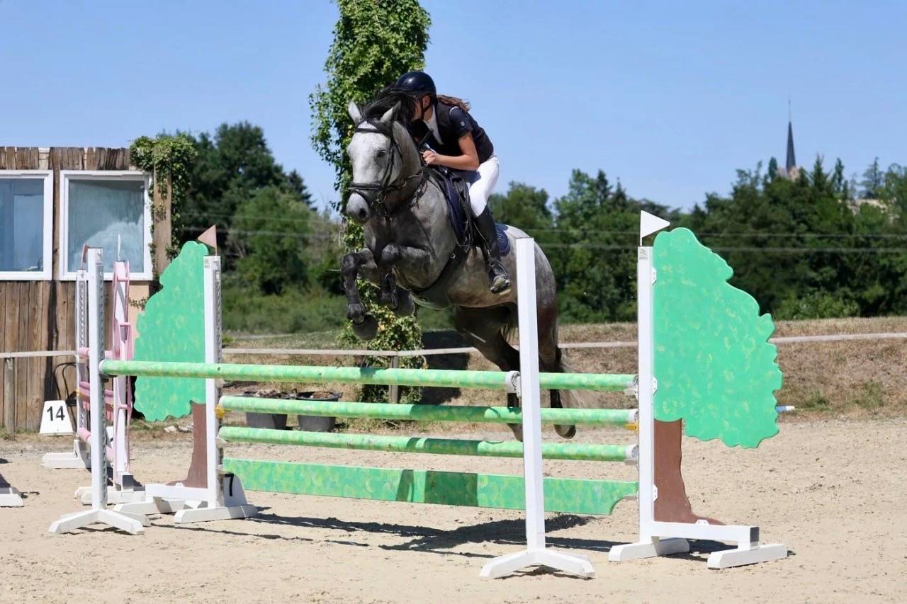 Hongre 6 ans assurance vie pour amateurs 