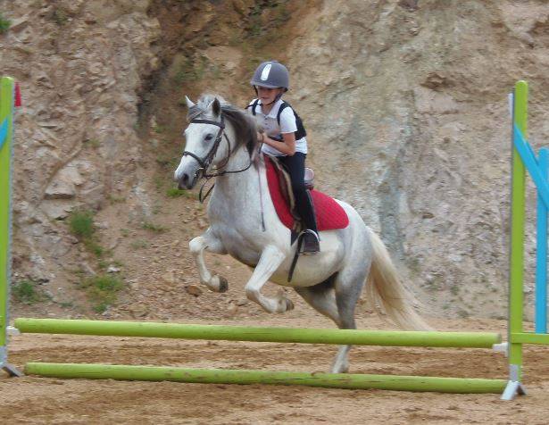 Centre de formation Equestre de Cenves