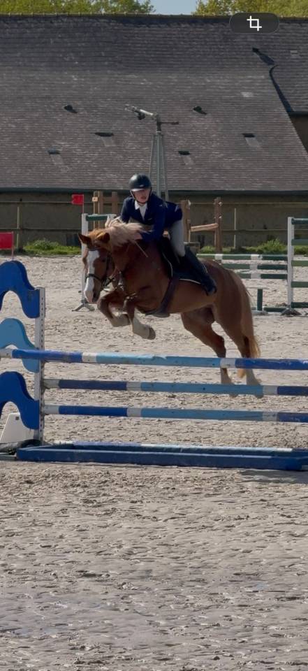 Poney D 