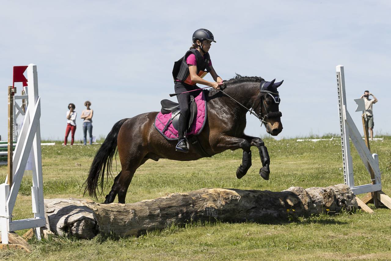 Hongre poney C &ndash; 10 ans &ndash; 1,36 m &ndash; CCE/CSO &ndash; Club &Eacute;lite