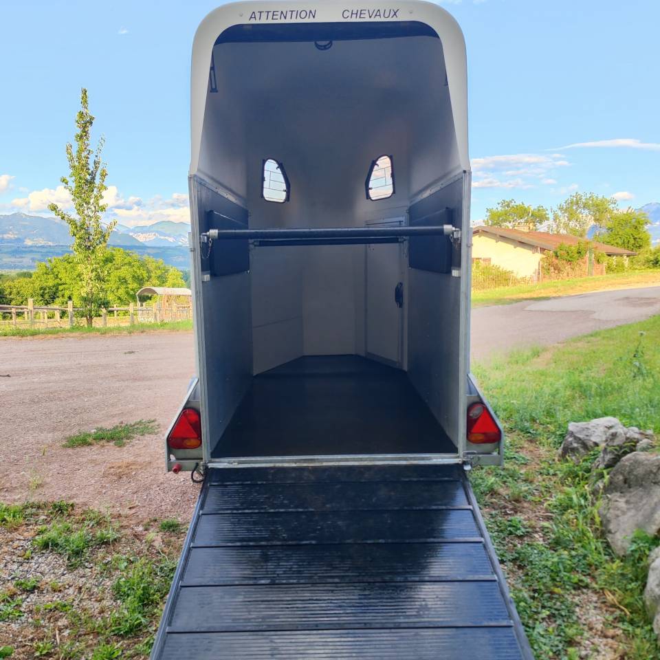‼️&Agrave; VENDRE &ndash; Van Cheval Libert&eacute; Gold One 1,5 place &ndash; Tr