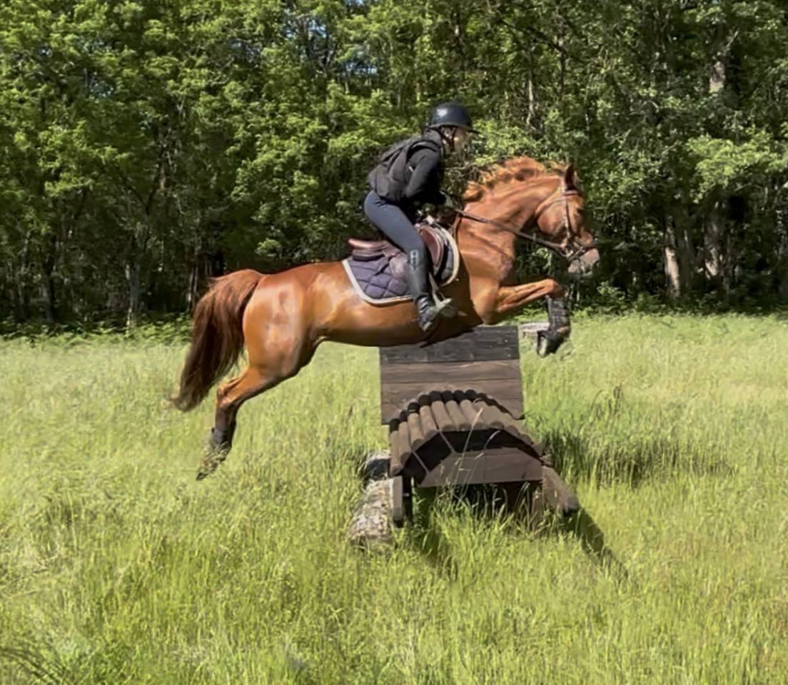 Vend Ponette PFS 10 ans 