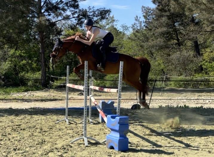 Vend Ponette PFS 10 ans 