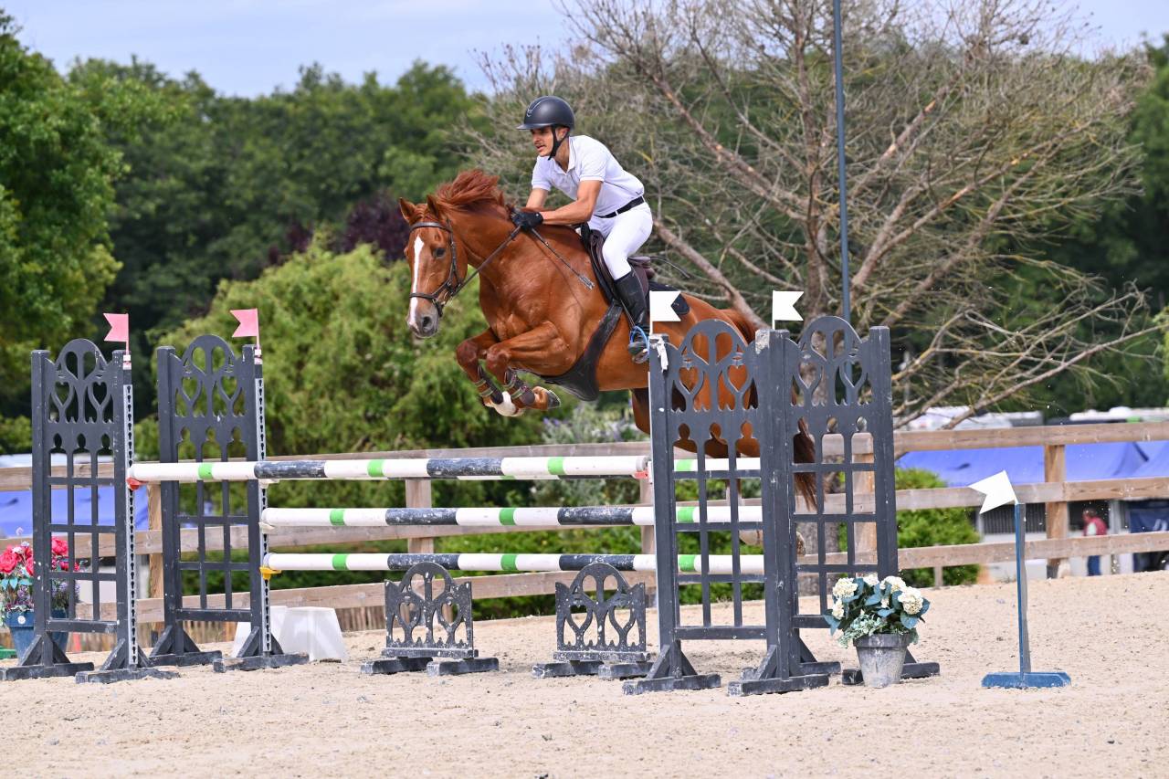 Hongre de 6 ans SF 