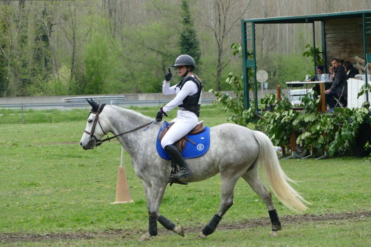 Javana de Nib&egrave;le, n&eacute;e en 2019, 1m46 pr&ecirc;te sur Pelite 