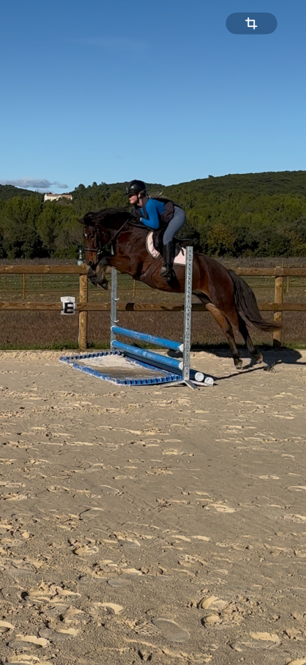 &Agrave; vendre poney de sport 