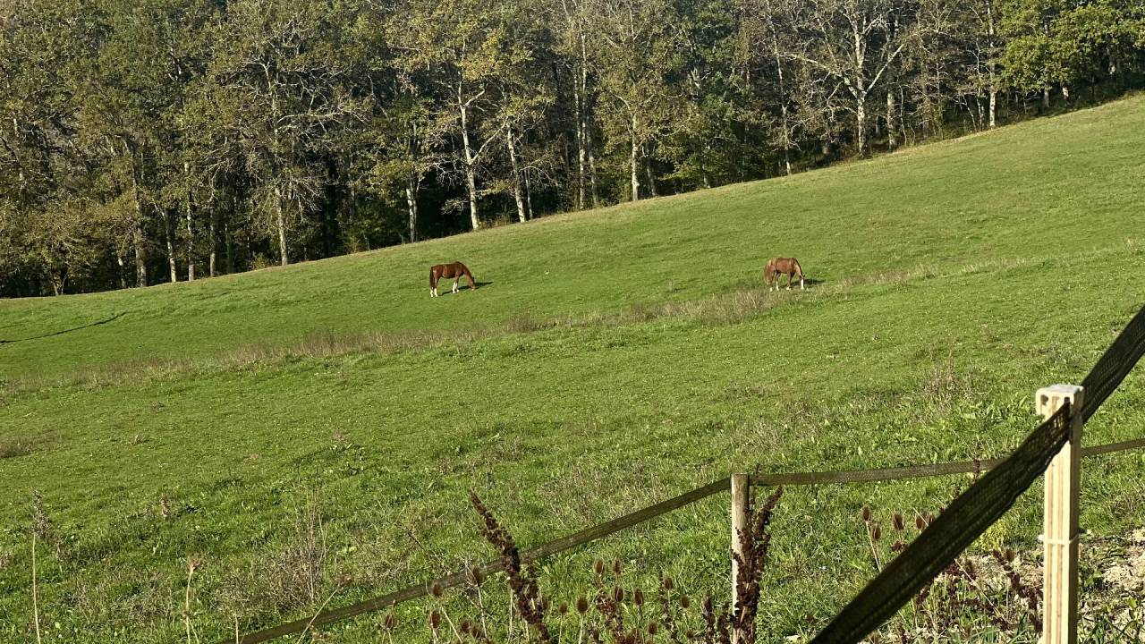 Lot-et-Garonne : Charmante propri&eacute;t&eacute; de 14 hectares (47
