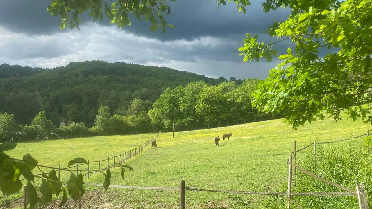 Lot-et-Garonne : Charmante propri&eacute;t&eacute; de 14 hectares (47