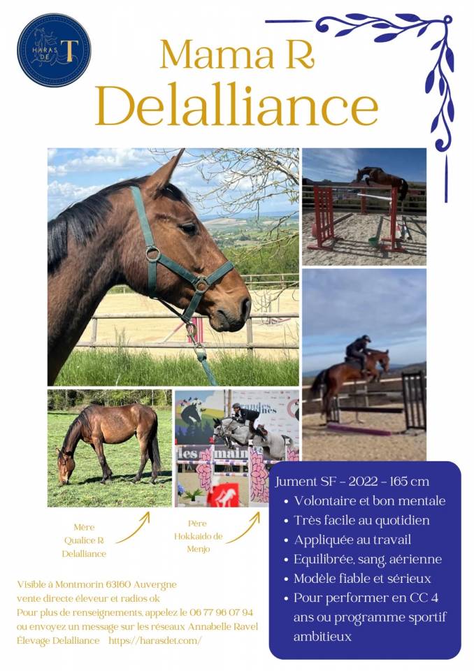 Cheval de sport