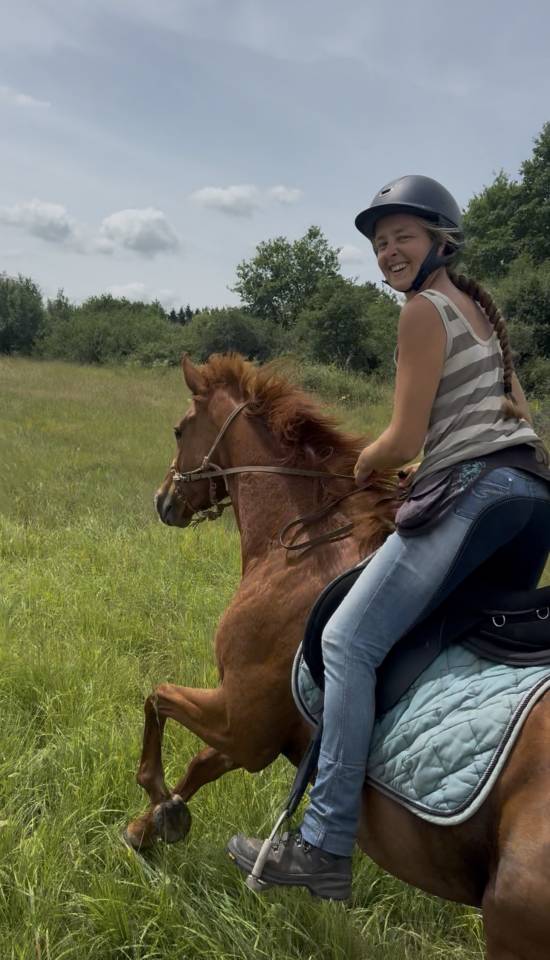 AV Spring, pur sang de 4 ans