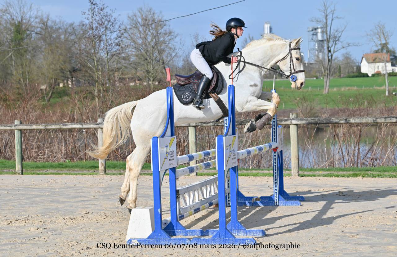 LANCELOT DES GIRAUDES 