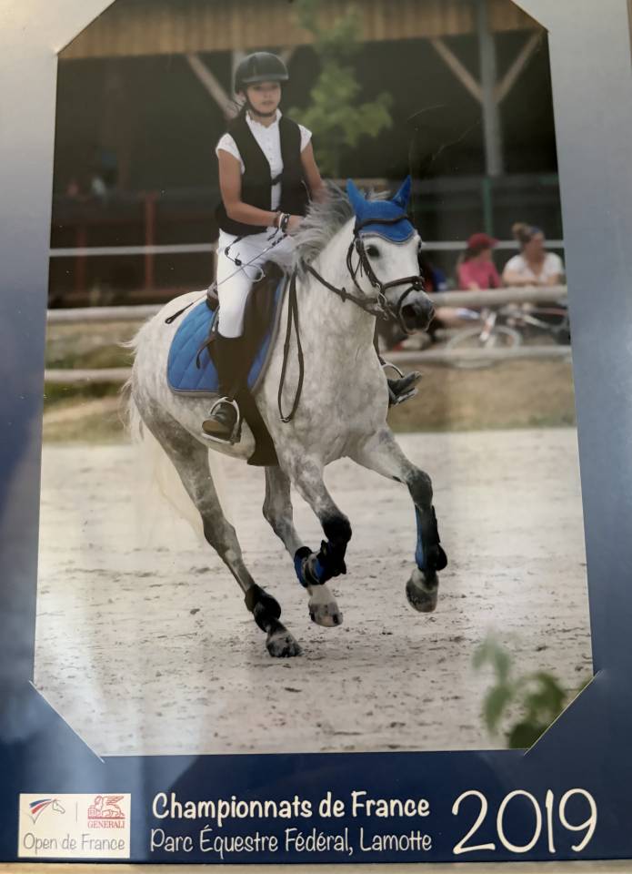 Poney C &agrave; louer 