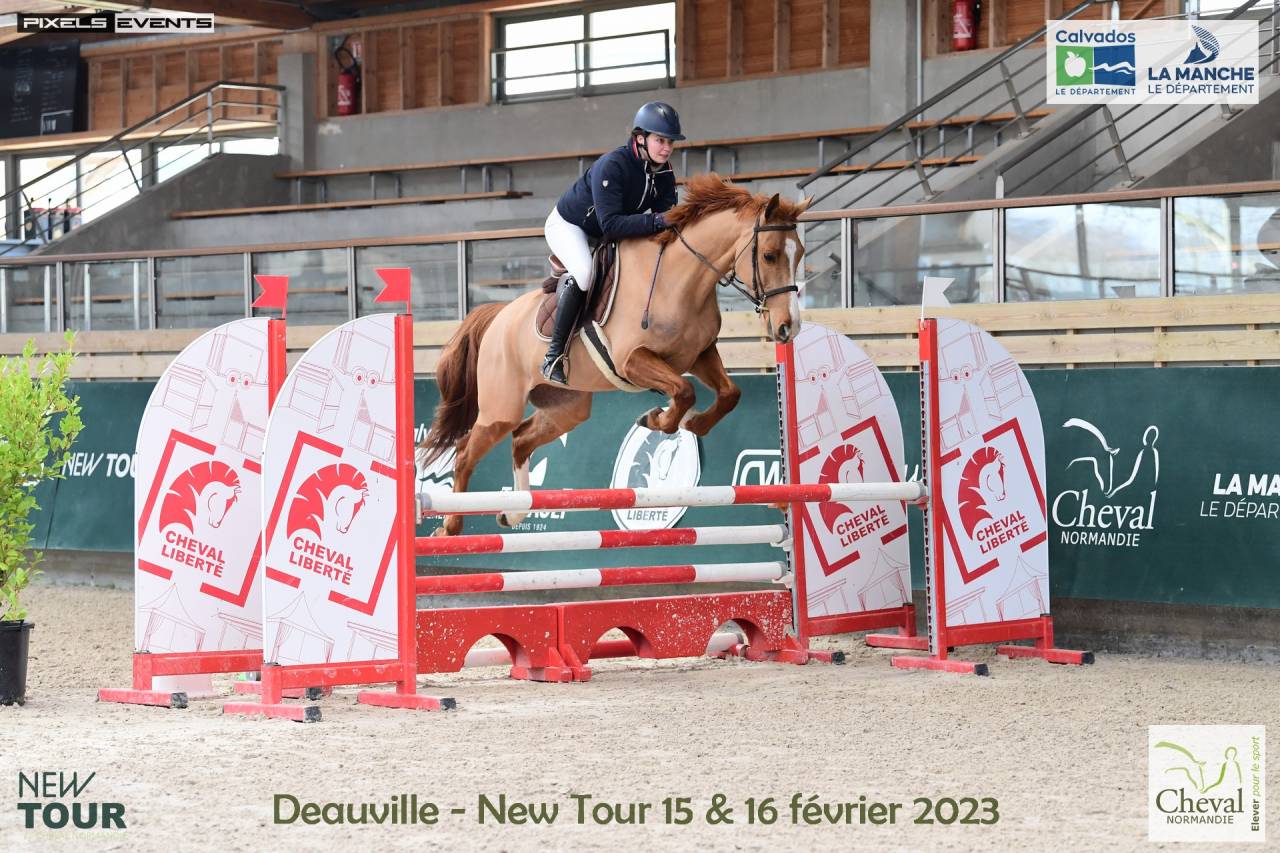 Top cheval pour amateur Elite +++