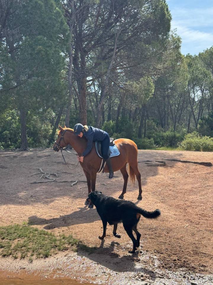 DSA PP 12 ans - Assurance vie - Endurance - TREC - Rand