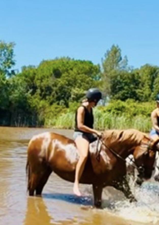 DSA PP 12 ans - Assurance vie - Endurance - TREC - Rand