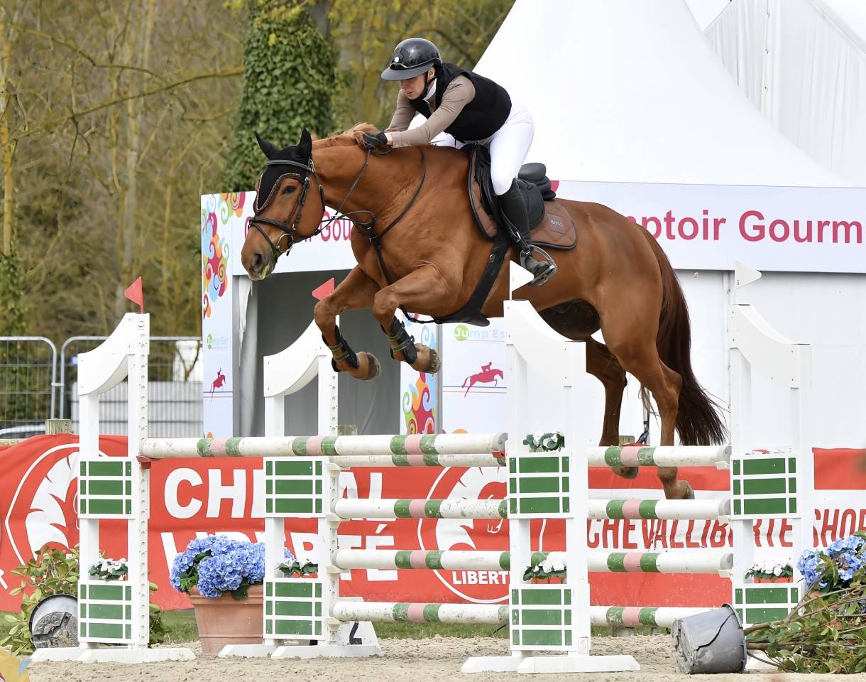 Cheval CSO