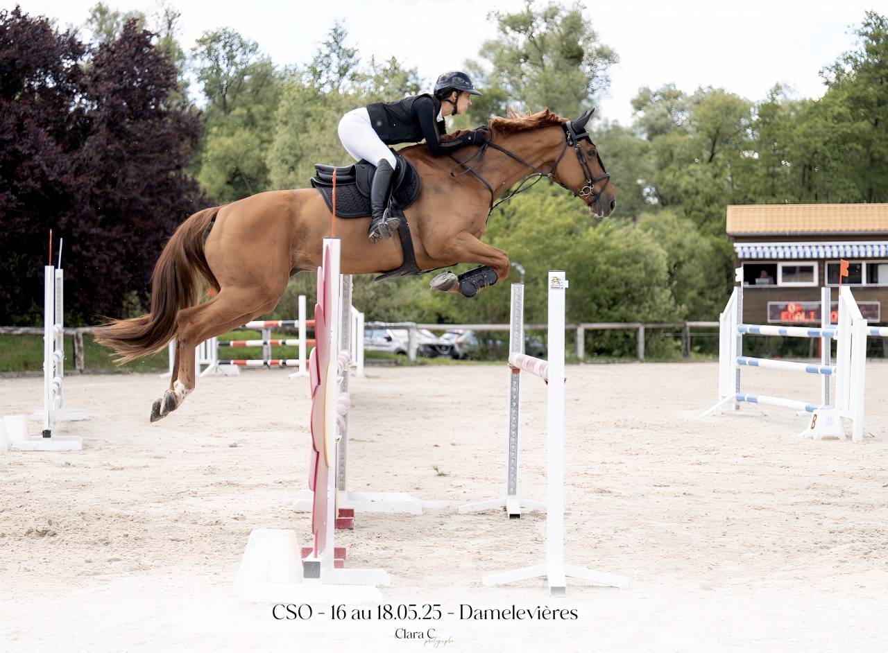 Cheval CSO
