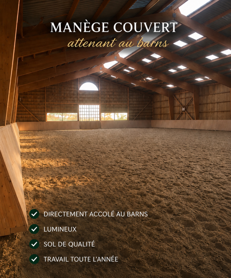 Location barns ind&eacute;pendant de 20 boxes &ndash; Romagny (50)