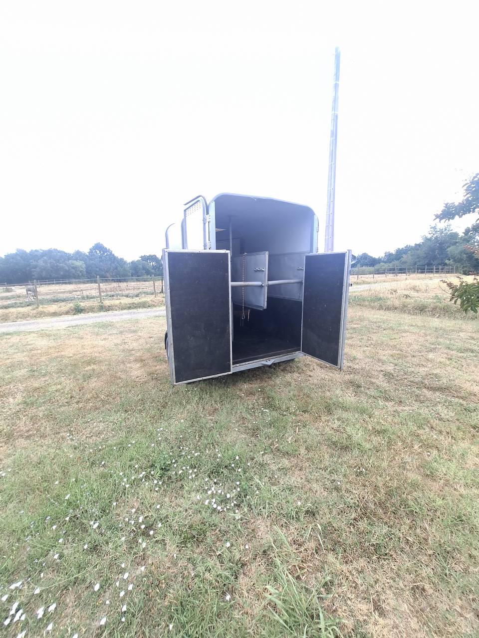 Ifor Williams 