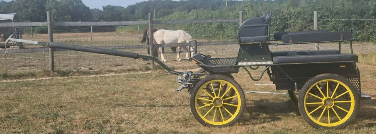 Voiture d'attelage Ginwoski r&eacute;vis&eacute;e