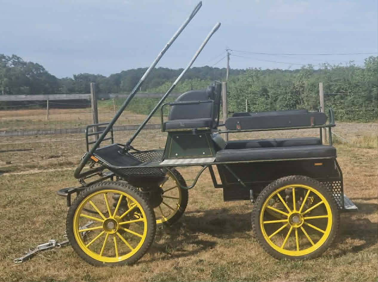 Voiture d'attelage Ginwoski r&eacute;vis&eacute;e
