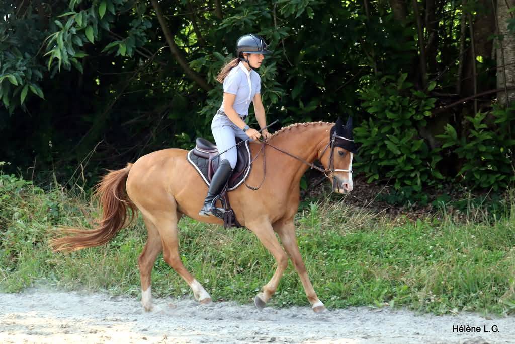 Ponette de Club / de Sport - Peepa - 10 ans