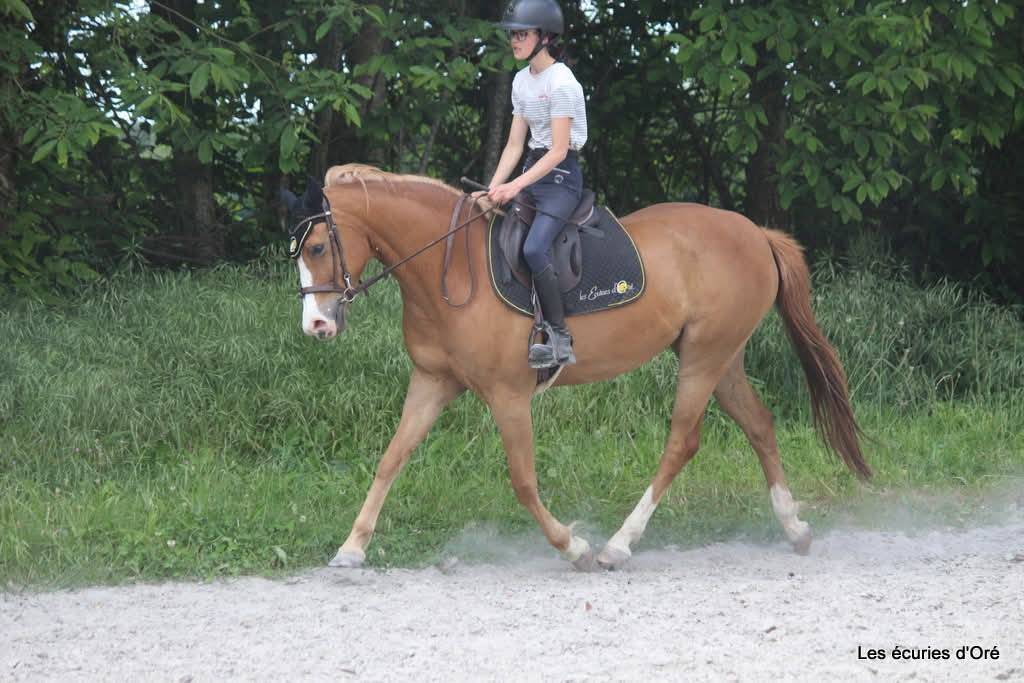 Ponette de Club / de Sport - Peepa - 10 ans