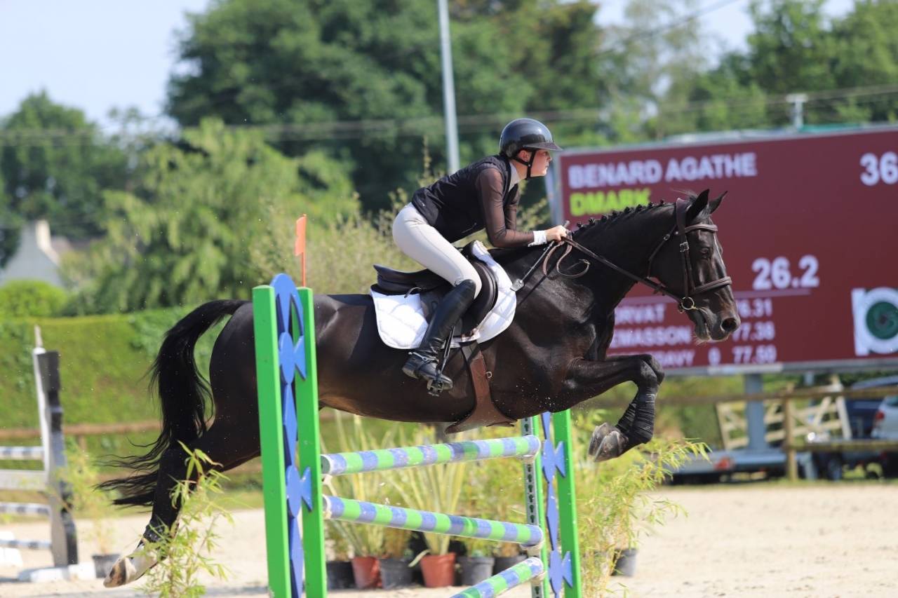 Cheval &agrave; vendre 