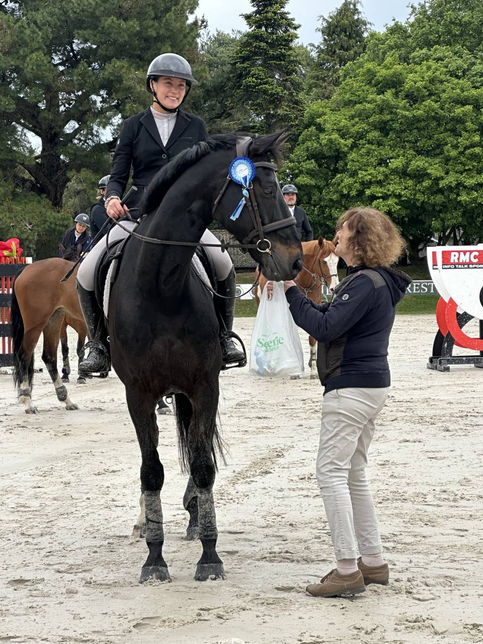 Cheval &agrave; vendre 