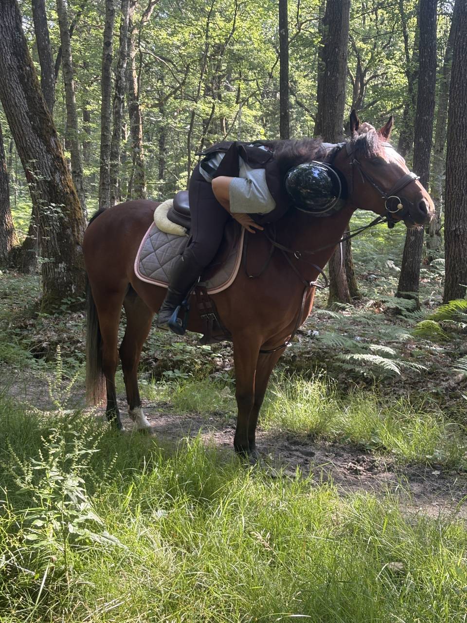 Ponette &agrave; vendre de 4 ans 