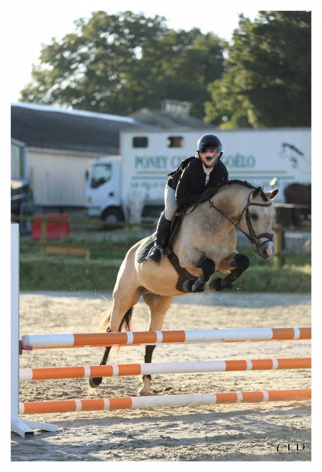 Poney 6 ans PFS